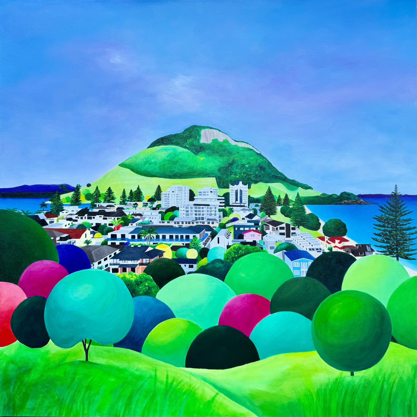 The Mount "View from Drury