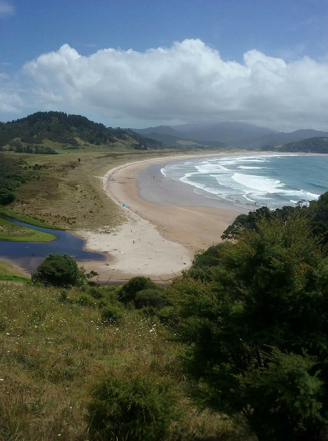 Waikawau Bay “Summer Holidays”