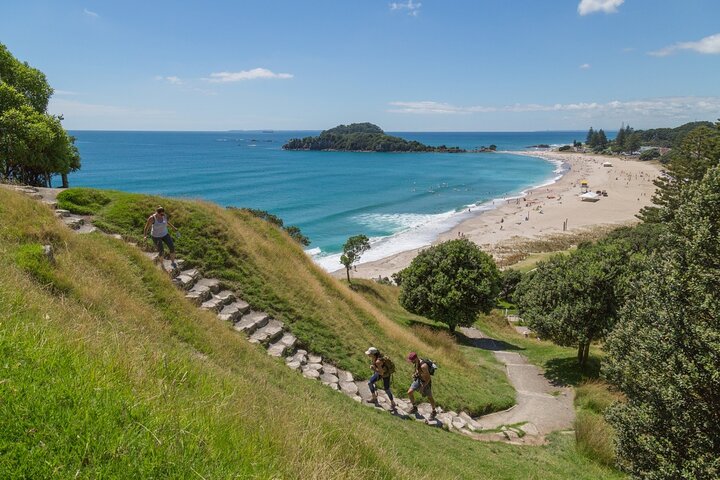 The Mount “Walk, Coffee, Chill”
